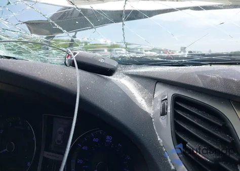 2013 Hyundai Azera из США, поврежденный, VIN KMHFH4JG5DA225239